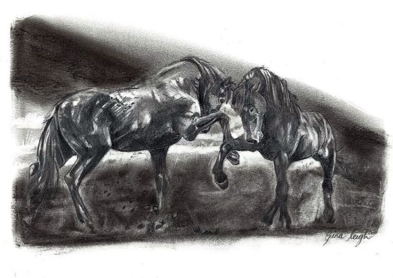Native Wild Horses Print